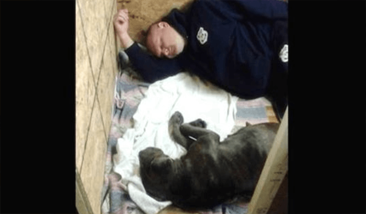 Policial resgata Mastiff grávida e vai além do Call of Duty