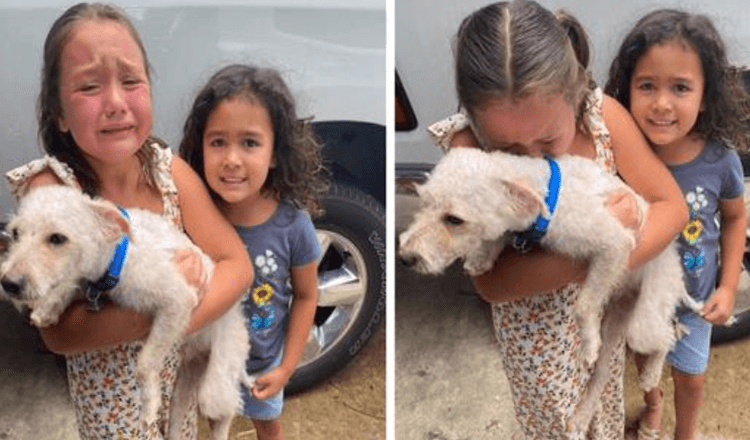 Menina não consegue parar de chorar lágrimas de alegria quando seu cachorro perdido é finalmente encontrado