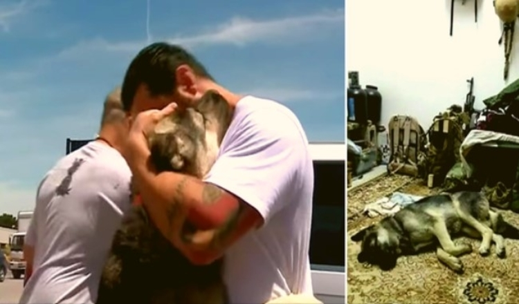 Soldado devoto adota cachorro que o ajudou em turnê de guerra no Iraque