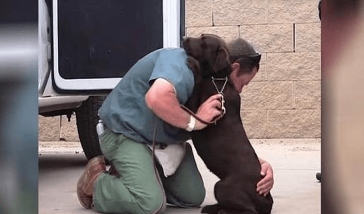 Cadela foi levada para ser sacrificada, mas uma detenta lhe deu um abraço apertado