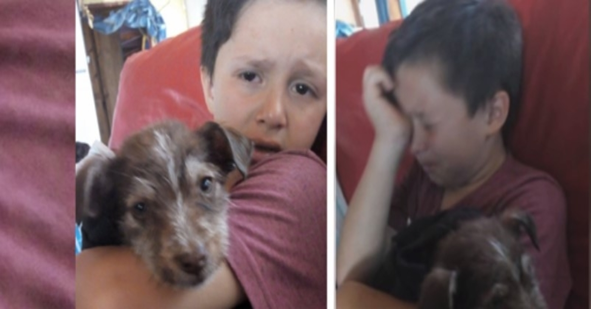 Menino salva cachorrinho maltratado por outras crianças, leva-o ao veterinário e agora são inseparáveis