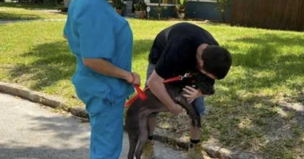 Um sem-abrigo teve de dar o seu cão a um abrigo, mas ele devolveu-o