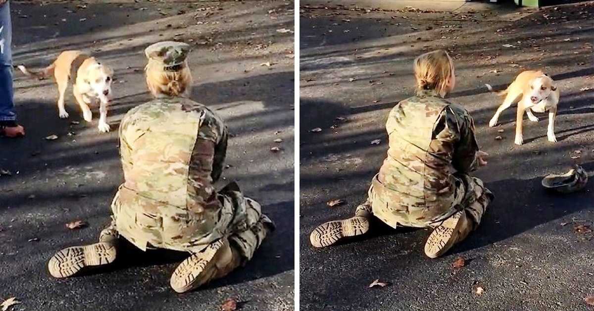 Quando o seu cão a rejeita no seu regresso, uma mãe do exército fica chateada e retira-lhe o chapéu