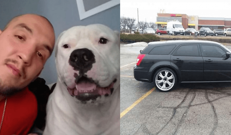 Homem coloca o seu carro à venda para salvar a vida do seu cão