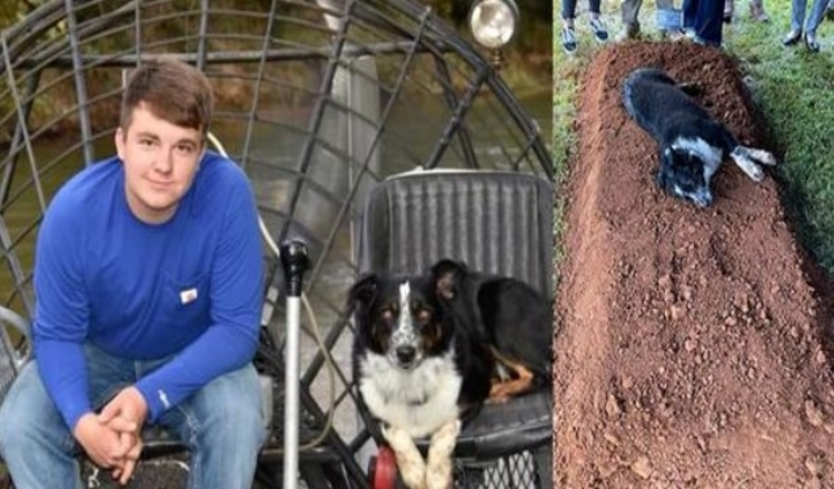 Cão de luto deitado pela sepultura do seu dono de 22 anos de idade que foi morto