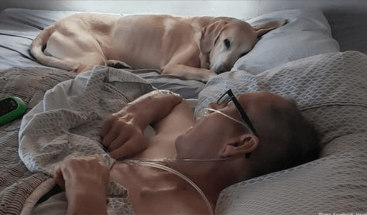 Veterano e o seu passe de cão leal afastam-se dentro de horas um do outro