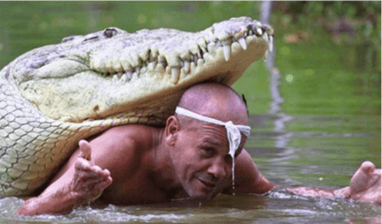 O homem salvou um crocodilo moribundo e eles permaneceram melhores amigos por mais de 20 anos