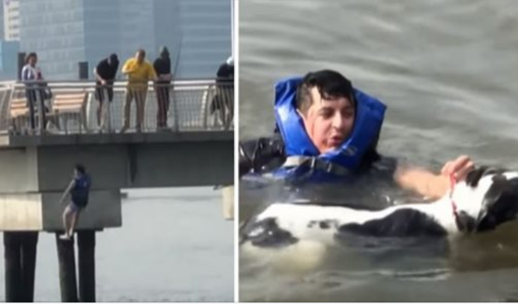 Homem deixa sua própria festa de aniversário para salvar cachorro de afogamento em rio