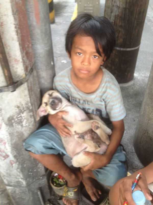 O menino abandonado pelos pais canta uma canção de ninar para um cachorro sem-teto